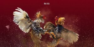 da ga truc tiep thai lan